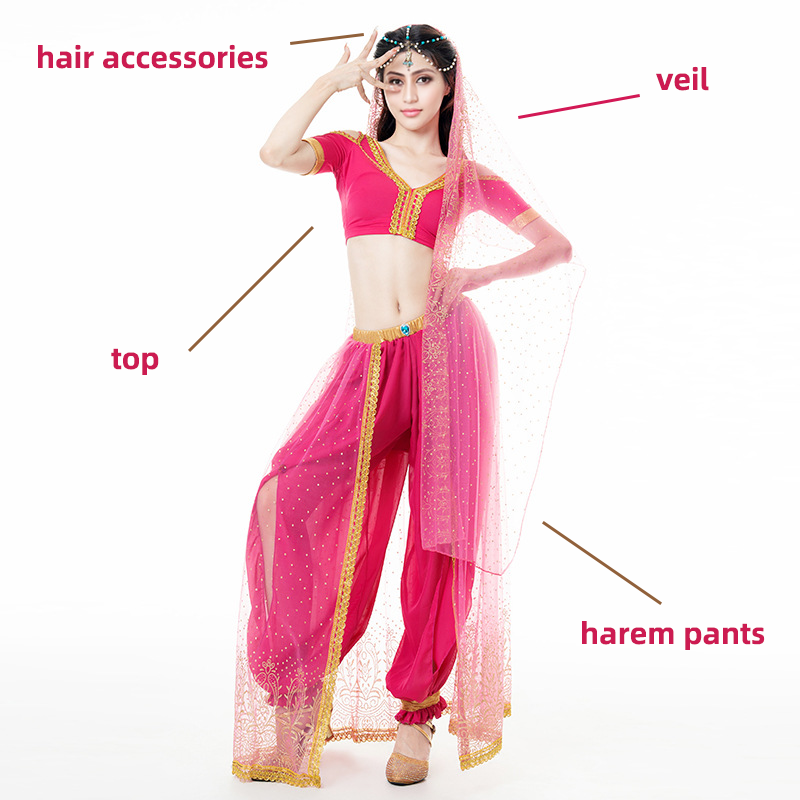 Middle East Belly Dancer Outfit - Costume Package