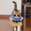 Pets Cat Puppy Funny Cosplay Samurai-1 Pet Costume