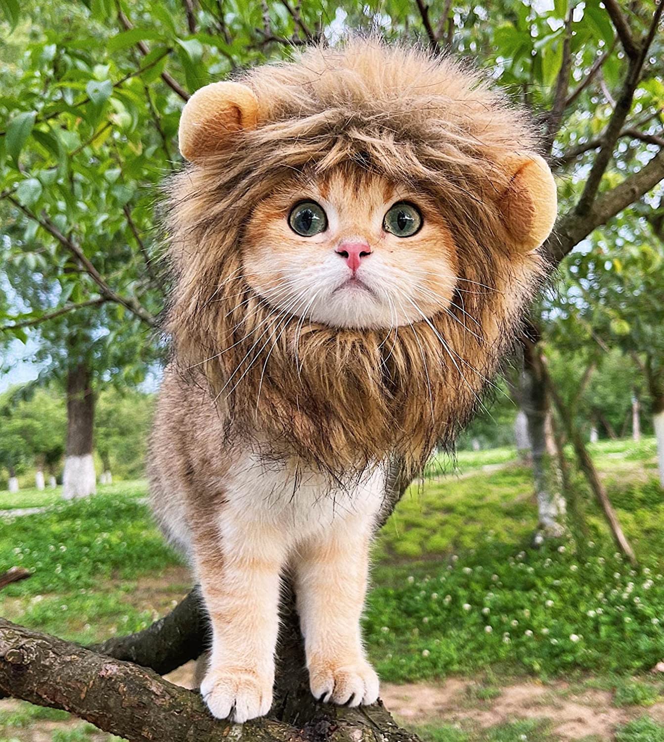 Lion Mane Wig for Dog and Cat Costume