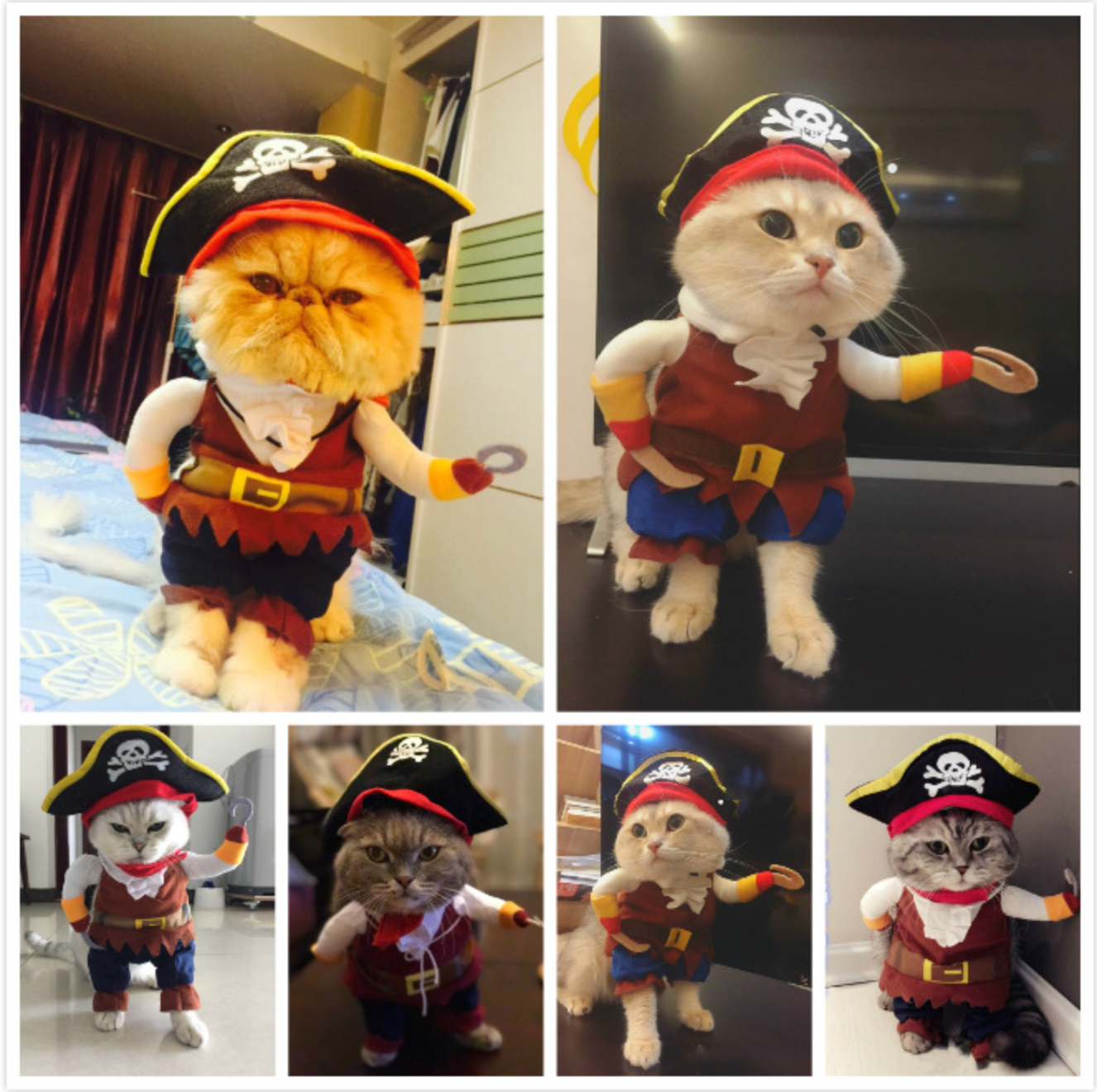 Pets Cat Puppy Funny Cosplay Pirate Pet Costume