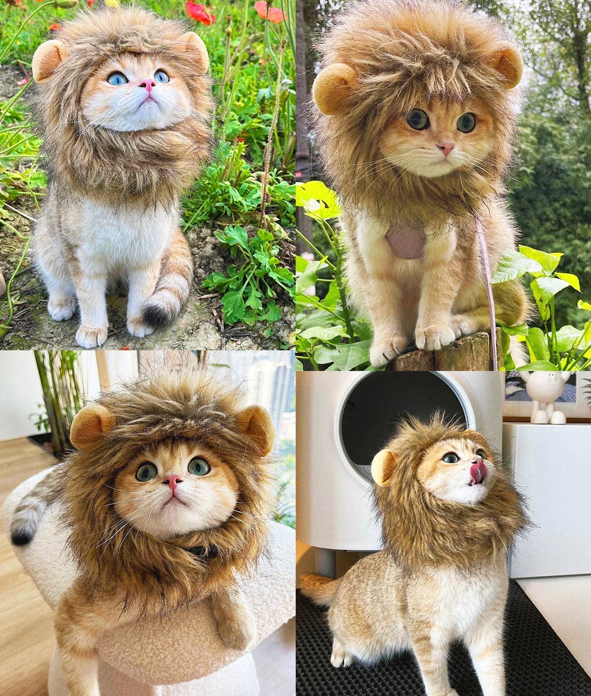 Lion Mane Wig for Dog and Cat Costume