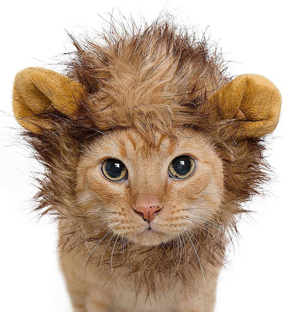 Lion Mane Wig for Dog and Cat Costume