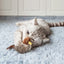 Squeaky with Feather Tail Toy Bird for Cats to Play Alone,Automatic Chirping Bird Cat Toy