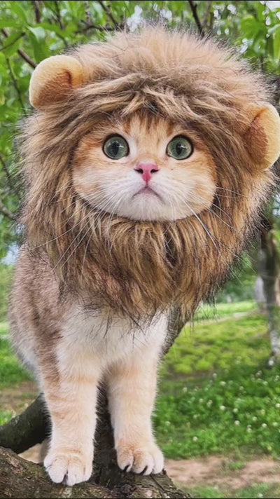 Lion Mane Wig for Dog and Cat Costume